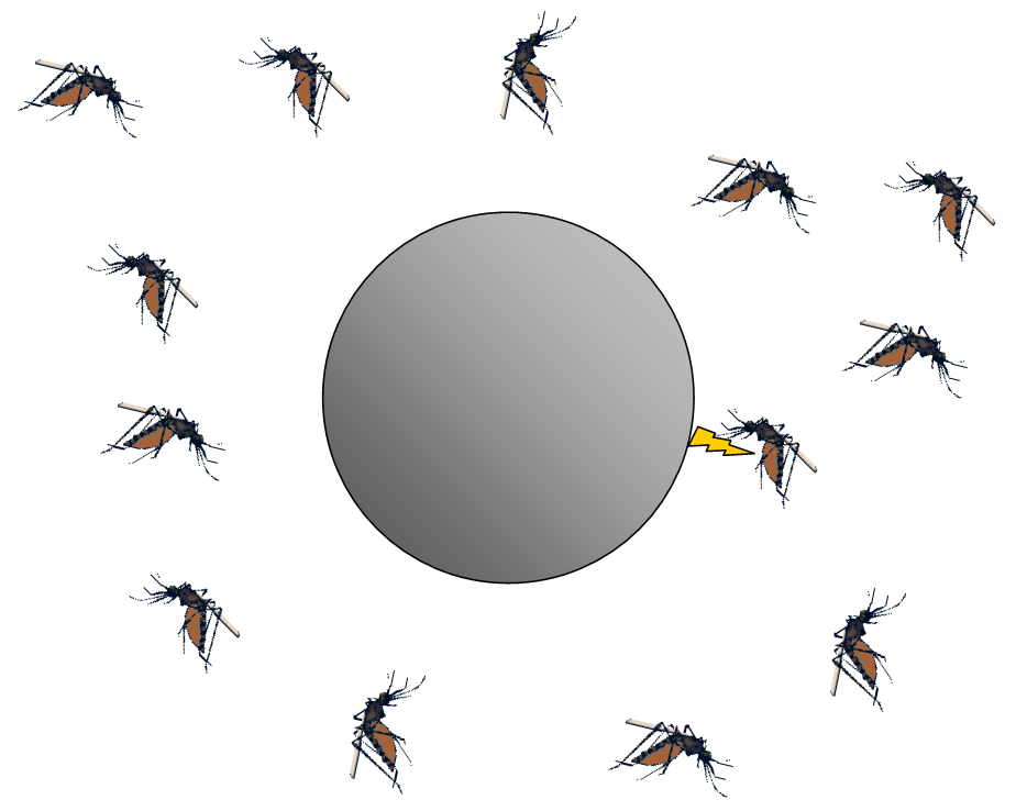 moving clipart mosquito