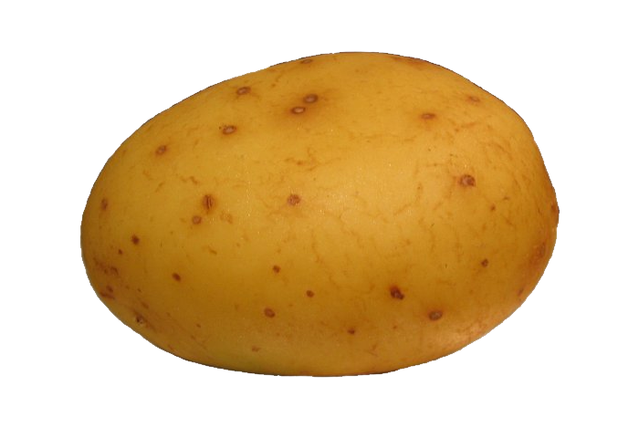 potato clipart vector
