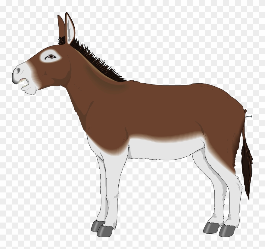 mule clipart animated