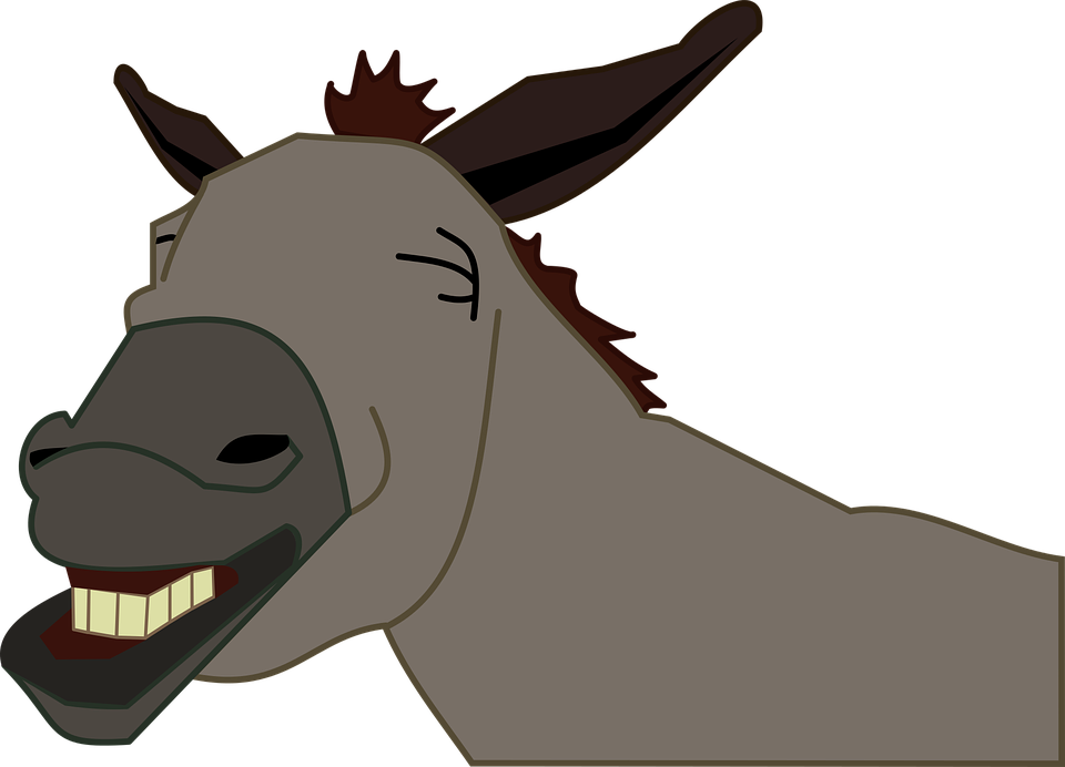 mule clipart dunkey