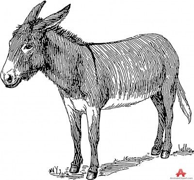 Animals of with the. Mule clipart grey donkey