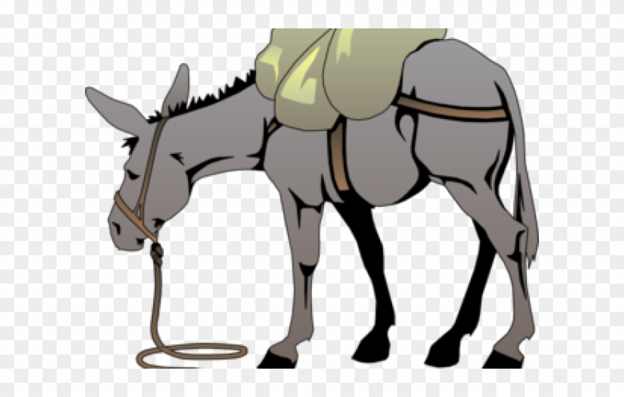 Mule clipart grey donkey. Bible for png 