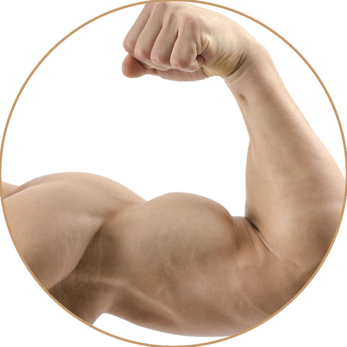 muscle clipart 6 pack 1702215. 