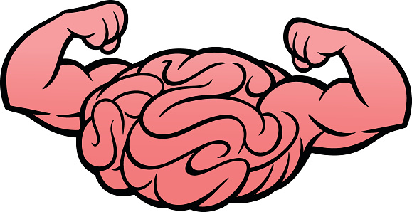 muscle clipart brain
