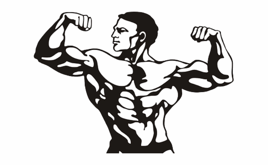 muscle clipart building muscle