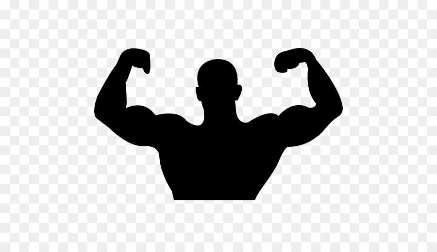 muscles clipart clear background