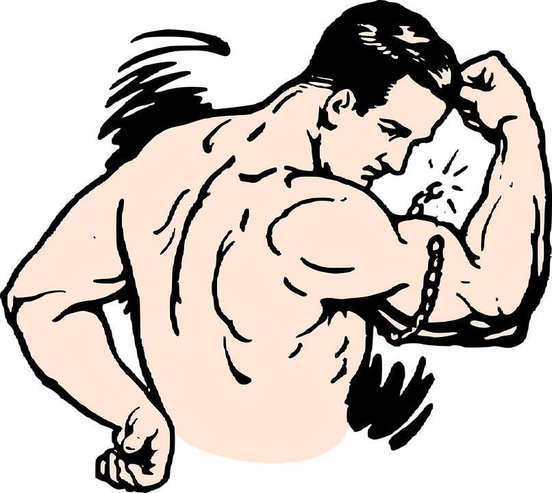 muscle clipart cute