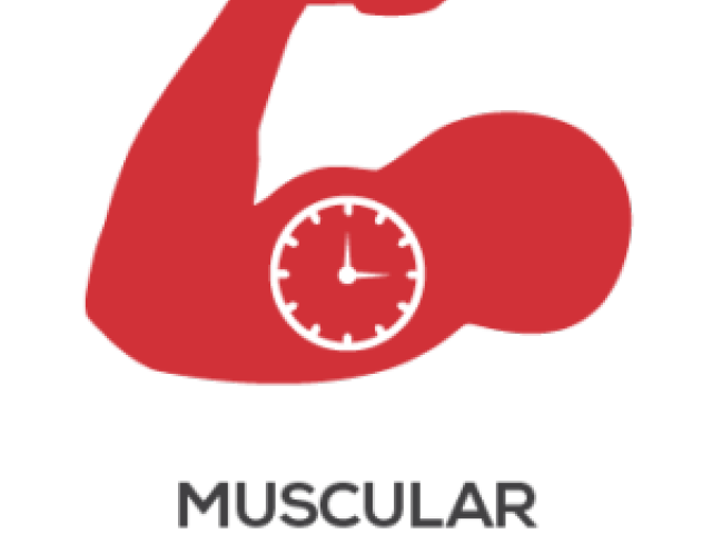 muscle clipart endurance