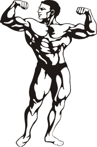 Flex free download best. Muscle clipart flexing