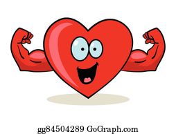 muscles clipart heart muscle