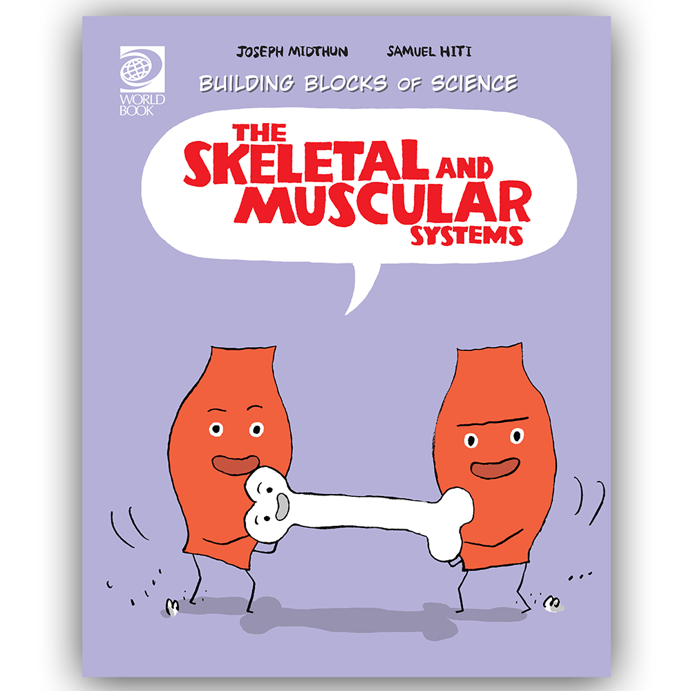 Muscle clipart human muscle. Skeletal and muscular systems