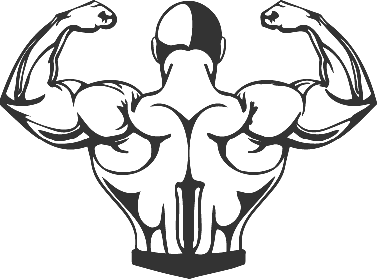 muscle clipart model back