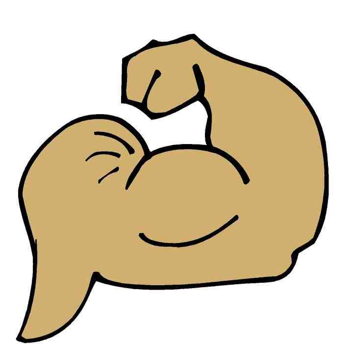 muscle clipart muscle arm