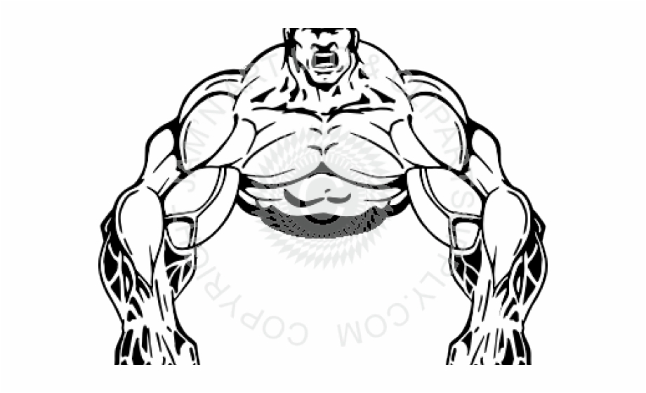 muscle clipart muscle builder