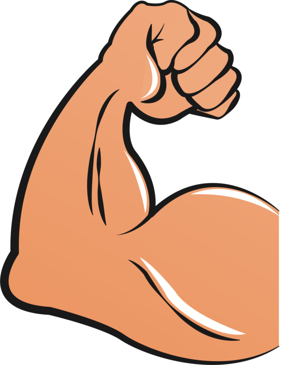 muscle clipart muscle hand