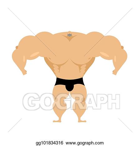 muscle clipart muscle mass