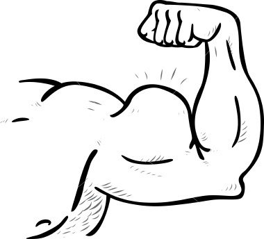 muscle clipart muscle tone