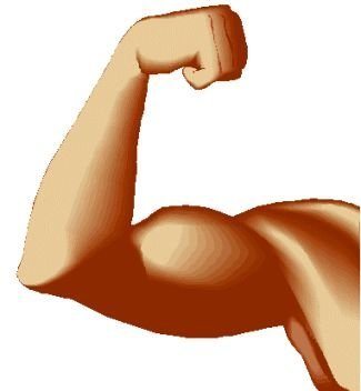 muscle clipart powerful