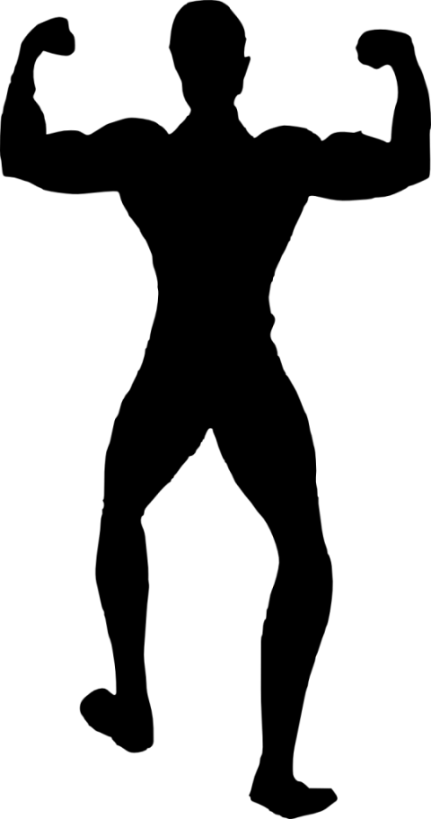 muscles clipart silhouette