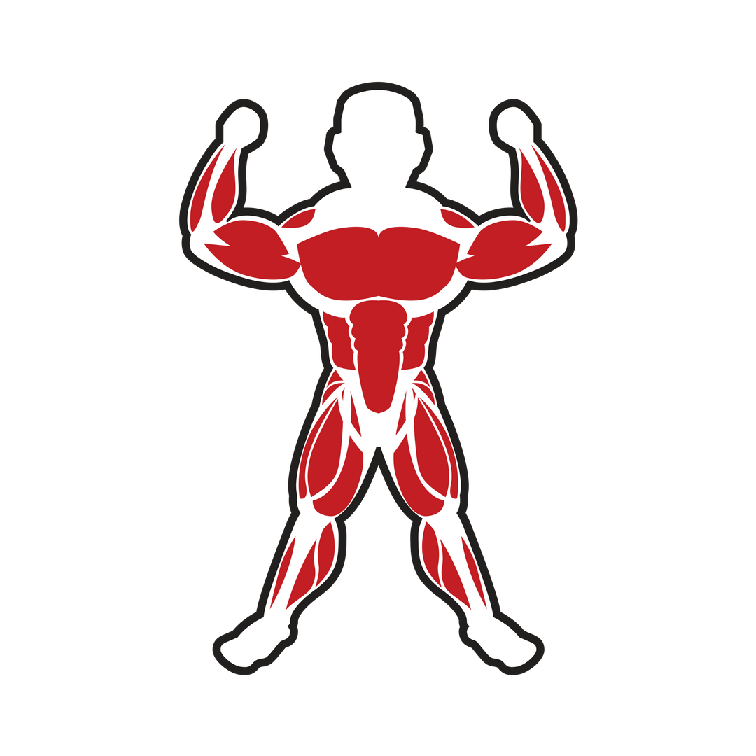 Muscles Clipart Bone Muscle Muscles Bone Muscle Transparent Free For ...