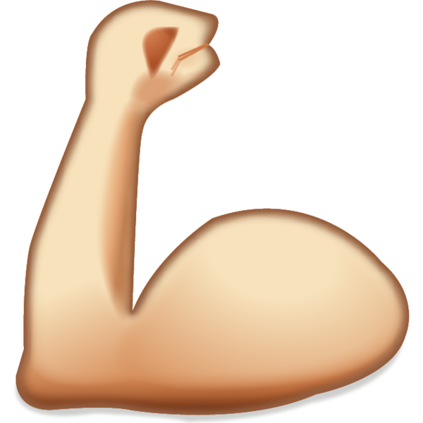 muscles clipart muscle biceps