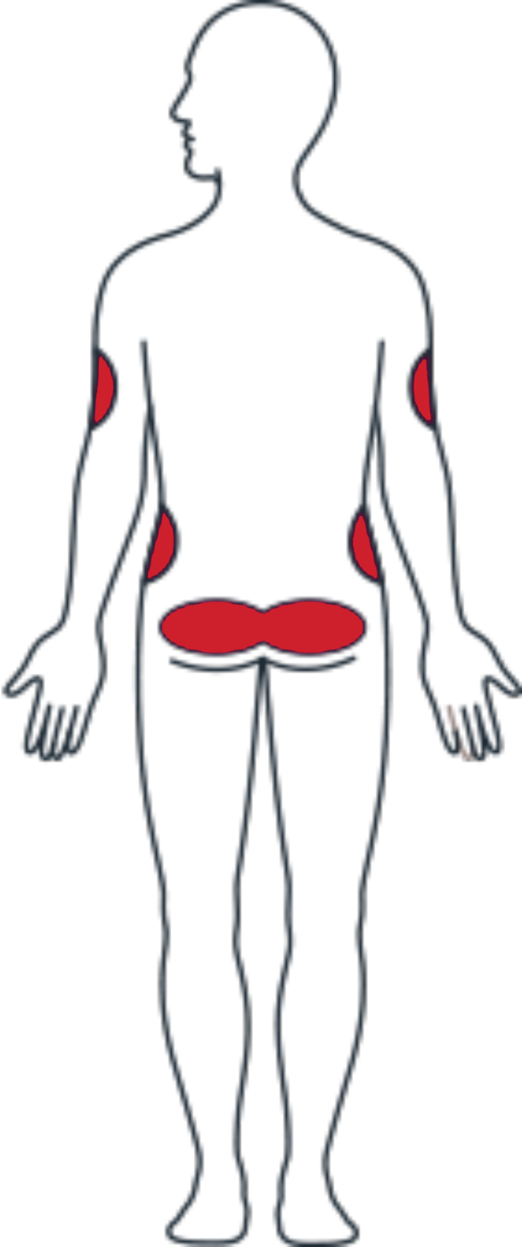 muscle clipart upper body