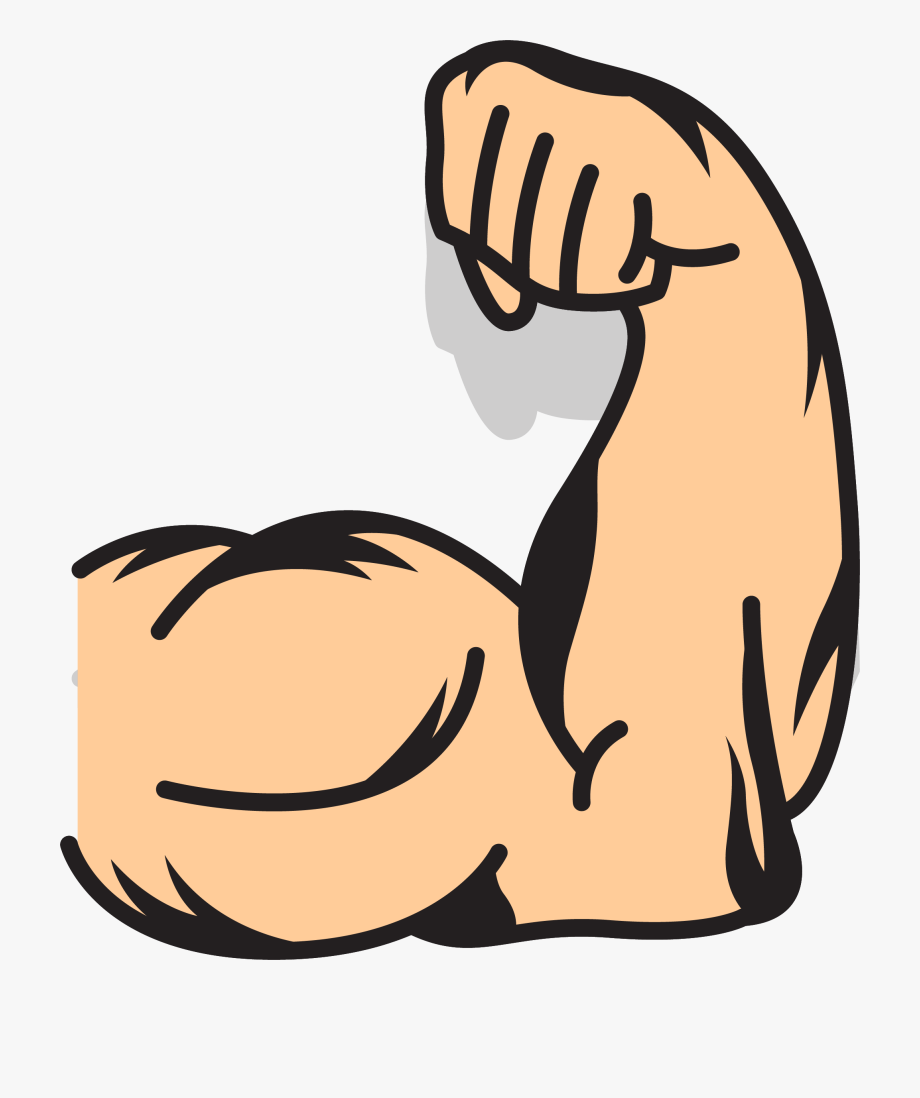 Arm clipart muscular arm. Download muscles muscled and