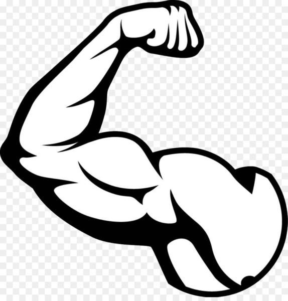 muscles clipart arm strength