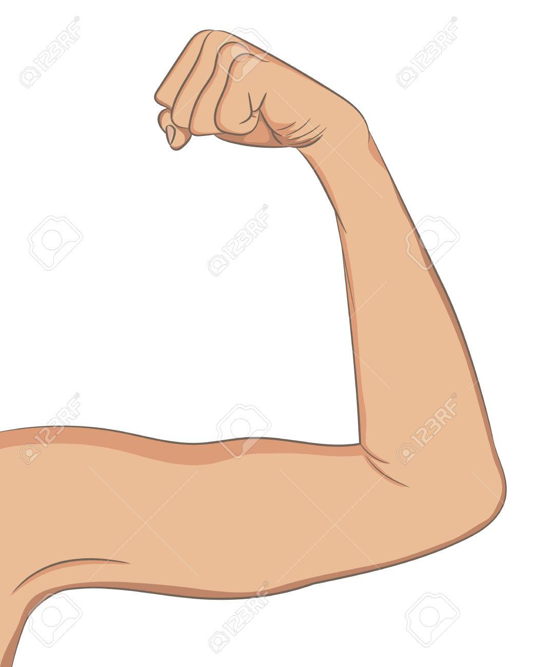 muscles clipart bent arm