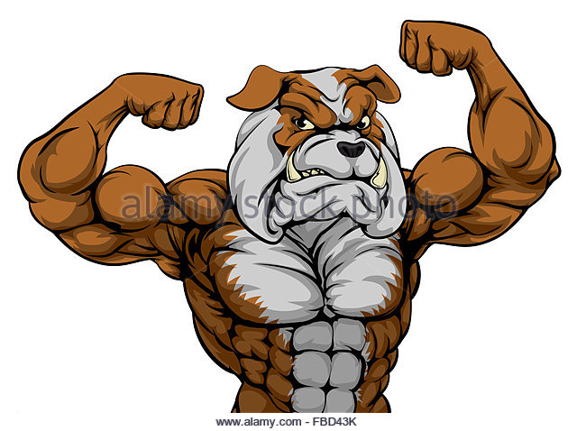 muscles clipart muscle animal