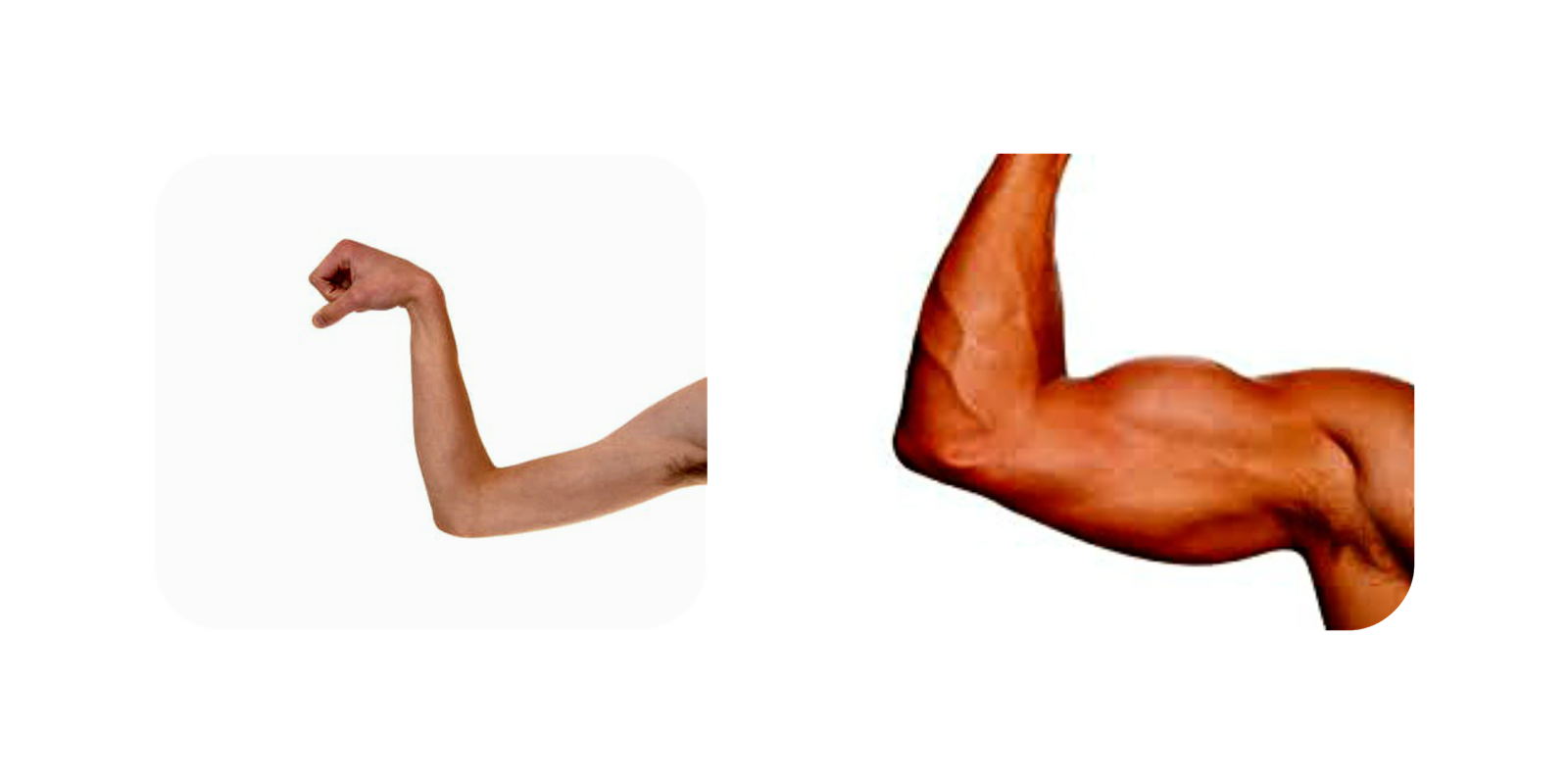 muscles clipart muscle weakness