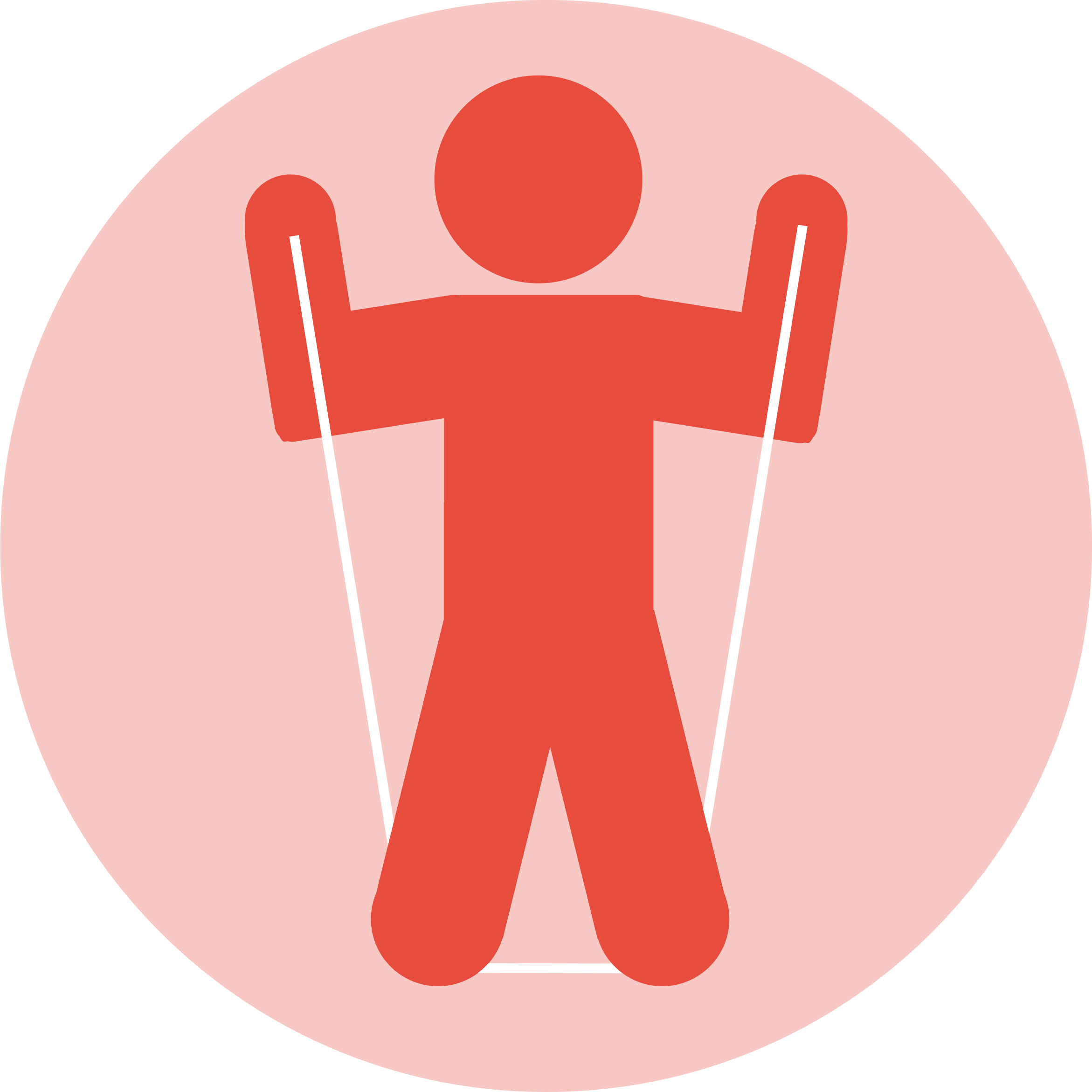 muscles clipart musculoskeletal system