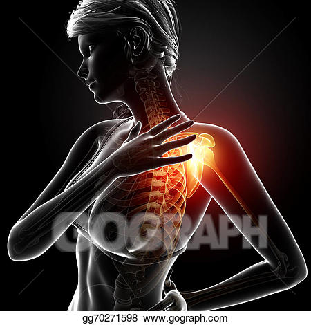 muscles clipart shoulder