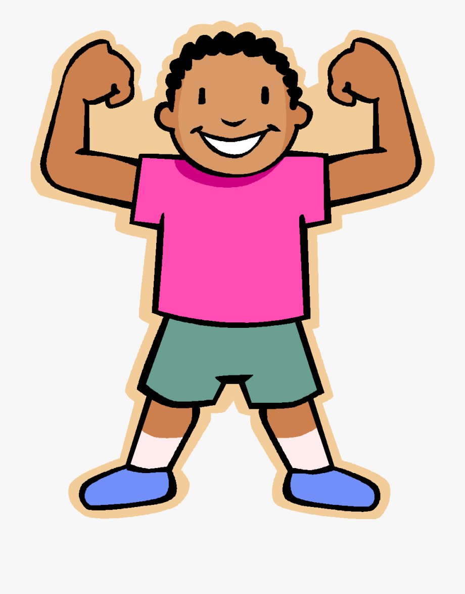 muscles clipart strong muscle