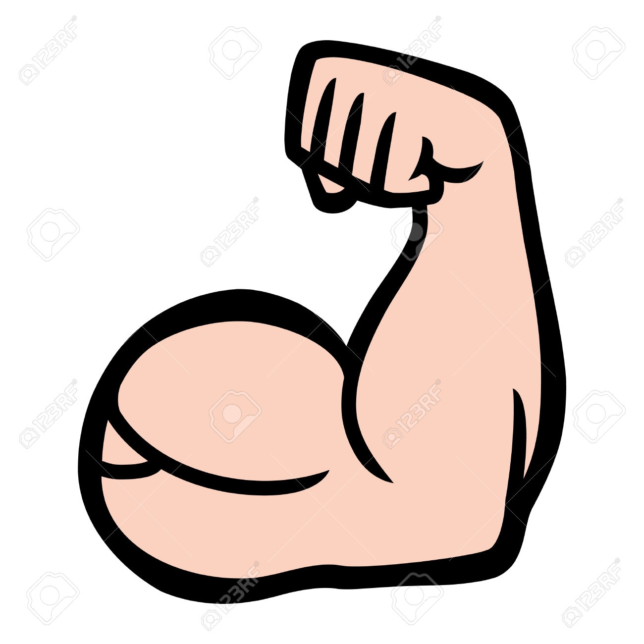 New gallery digital collection. Muscles clipart