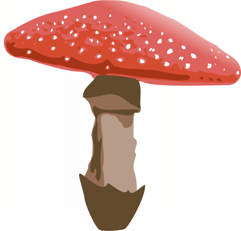 Mushroom clipart alice in wonderland mushroom. Amanita muscaria medium image