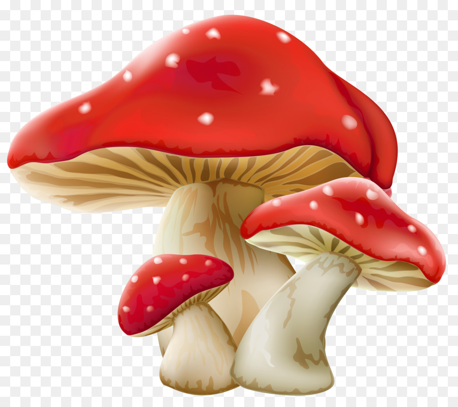 Mushroom clipart alice in wonderland mushroom. Cartoon food transparent clip