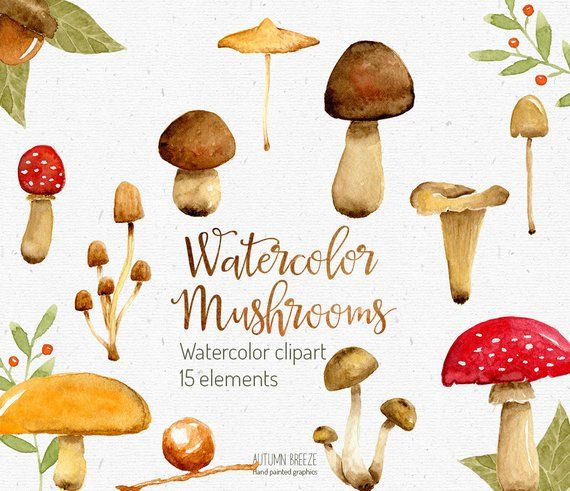 Watercolor mushroom woodland . Mushrooms clipart autumn