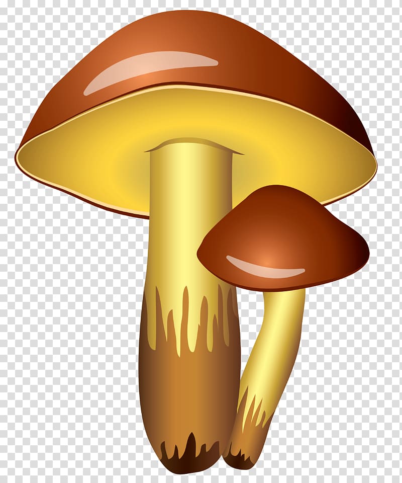 Two and maroon mushrooms. Mushroom clipart brown mushroom