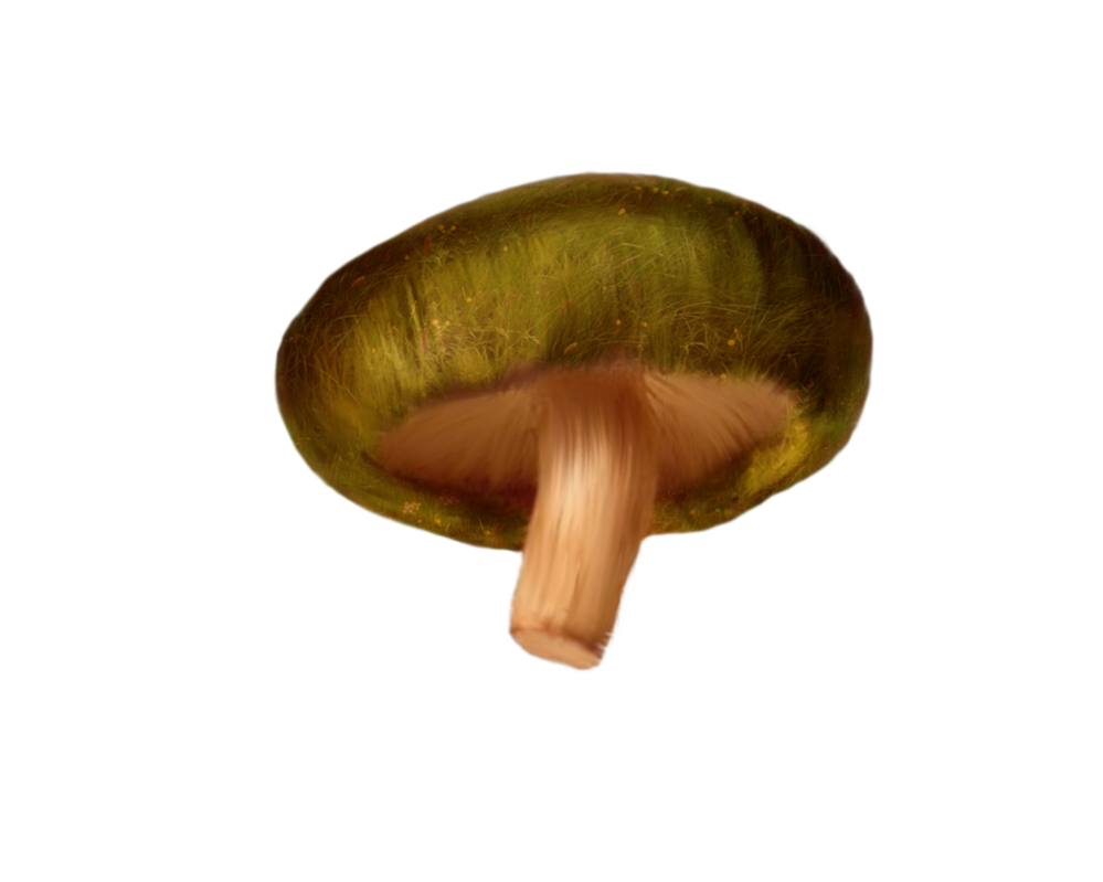 Mushroom clipart brown mushroom. Png mart