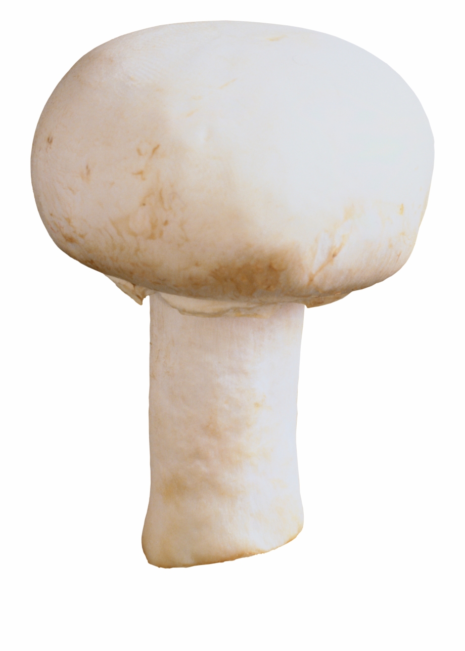 Mushroom clipart button mushroom. Png image transparent background
