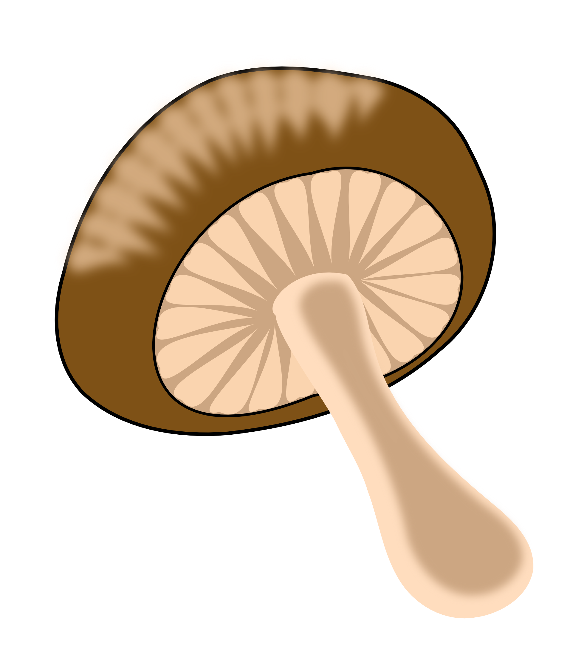 Mushroom clipart button mushroom. Clipartist net clip art