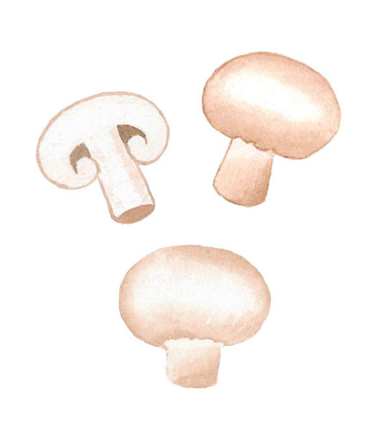 mushroom clipart champignon mushroom