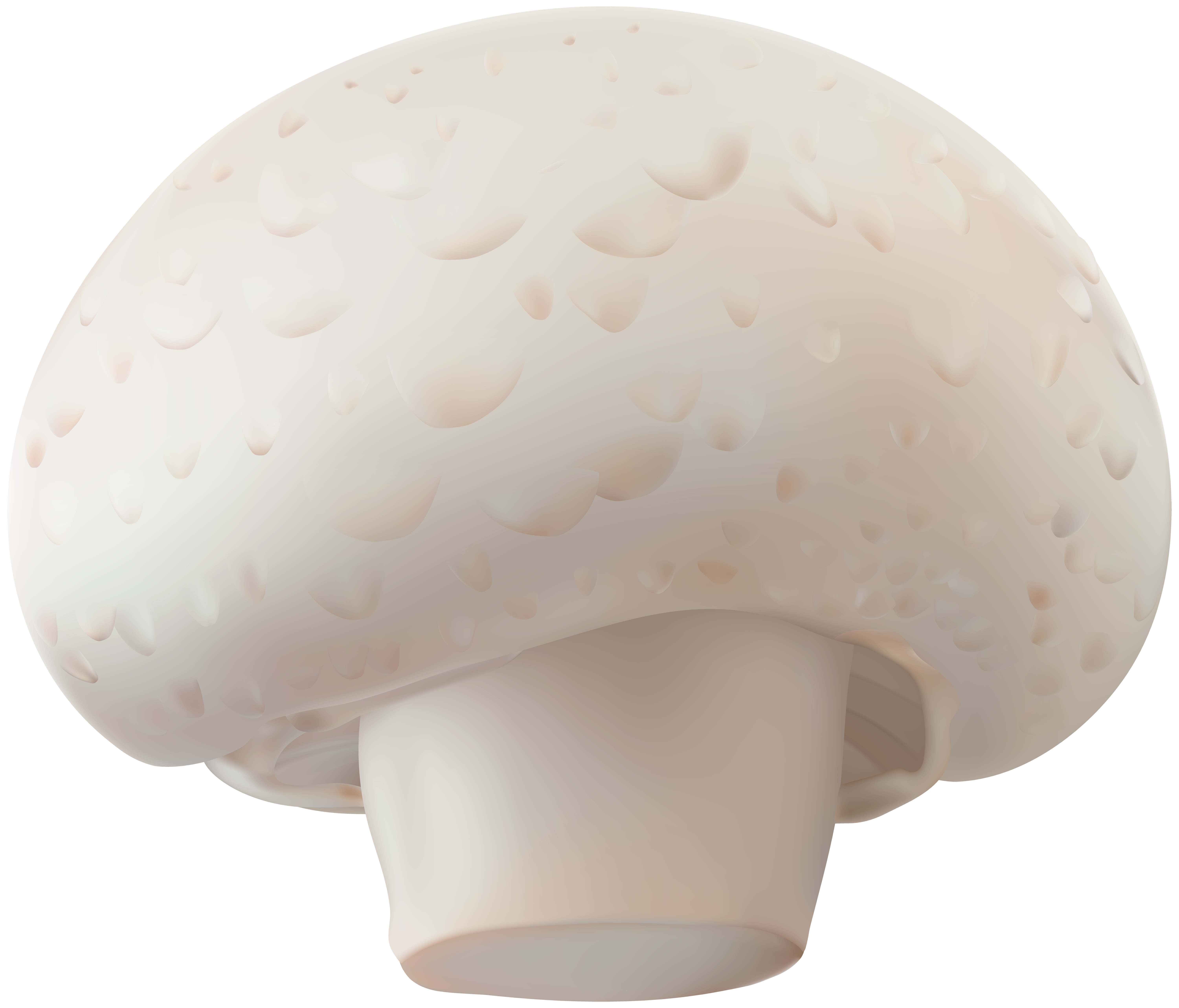 Transparent clip art image. Mushroom clipart champignon mushroom