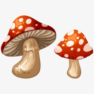 mushrooms clipart clip art