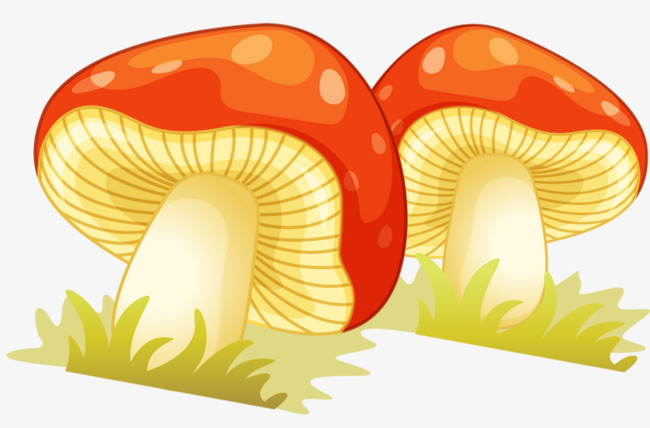 Color mushroom hand painted. Mushrooms clipart colored