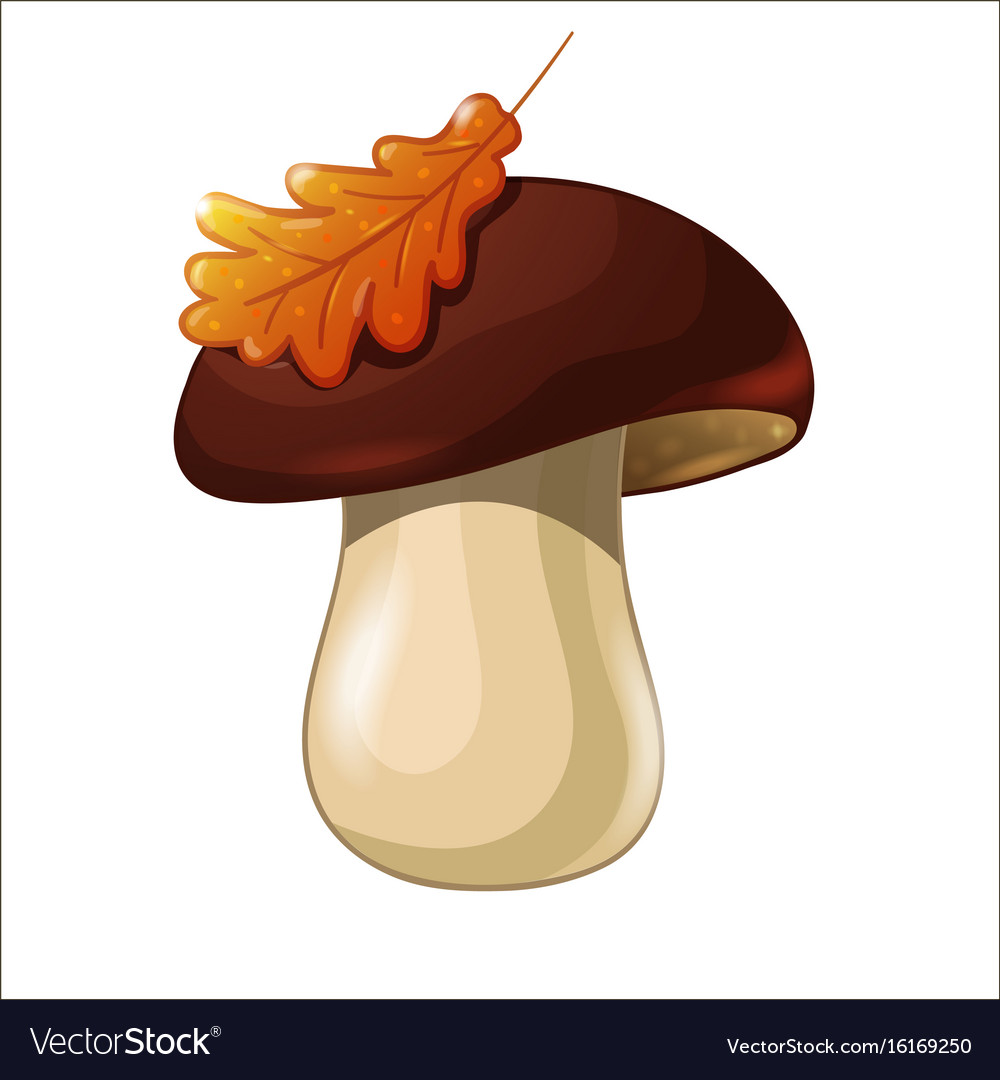 Mushrooms clipart colored. Mushroom x free clip