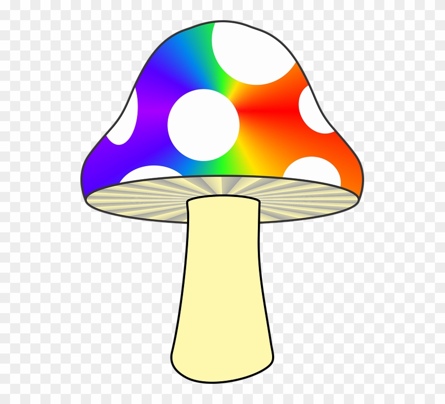 Mushrooms clipart colored. Free cliparts mushroom buy