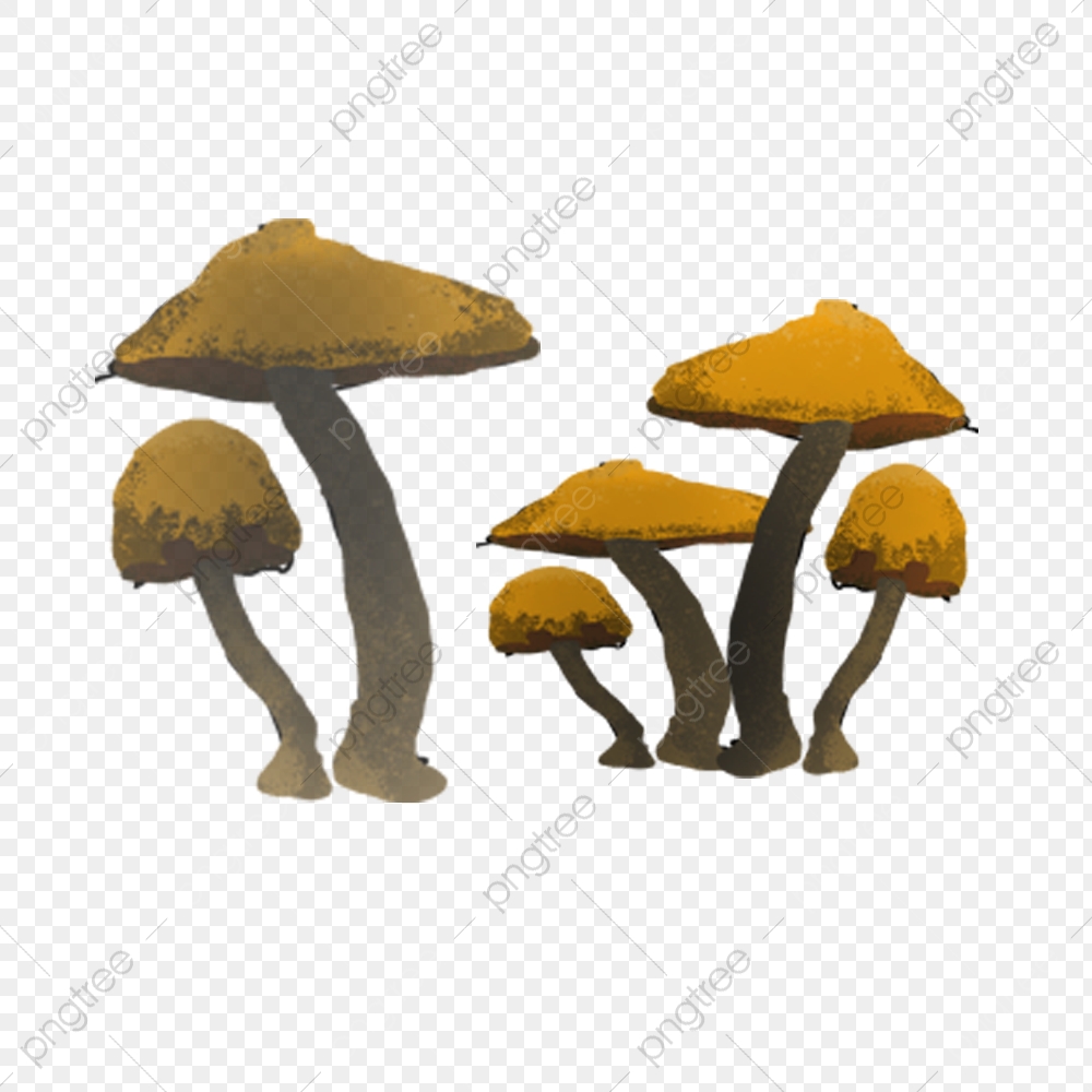 mushroom clipart dark brown