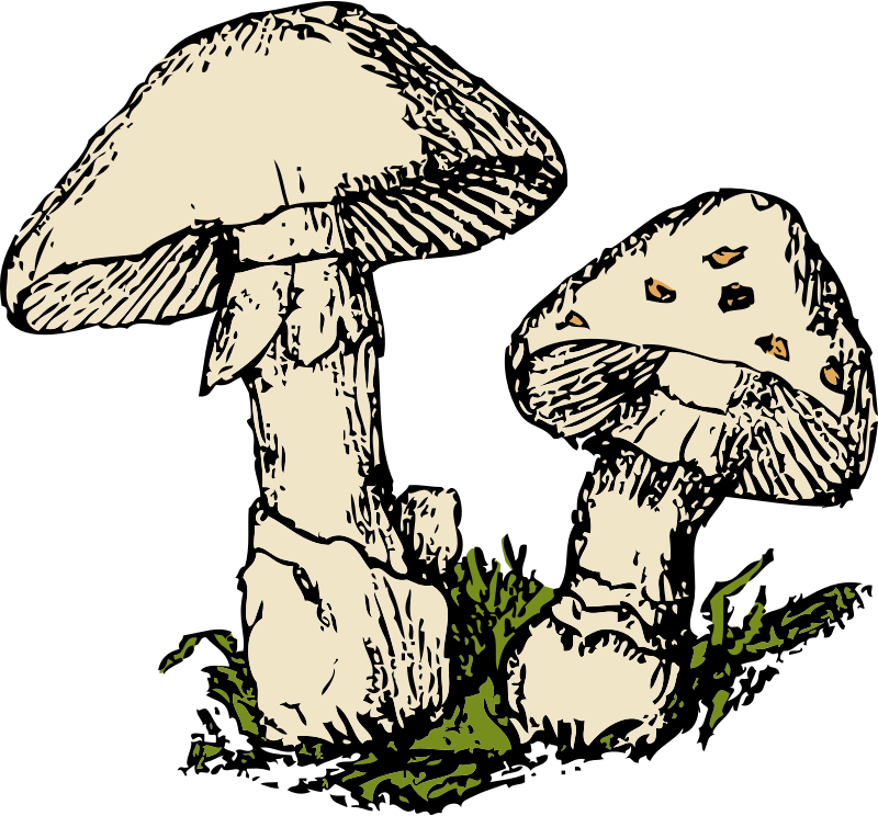 Worm clipart squirm. Decomposer group two mushrooms